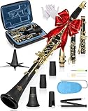 AKLOT B Flat Concert Clarinet: Precision Tone Hole Design for Stable Intonation, Durable Gold-Plated Keys, Including Leather Hard Case, Barrel, Stand, Full Cleaning Kit (Aria-AG)