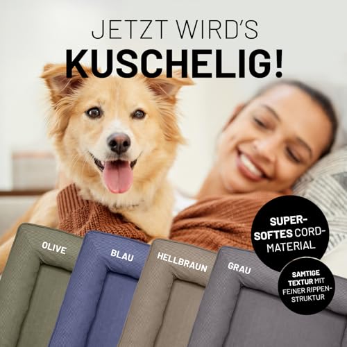 Lumaland orthopädisches Hundebett aus Cord | ergonomisches Hundesofa 70x60 cm - für kleine Hunde | Boden rutschfest | Füllung und Bezug waschbar | Hundekörbchen mit Memory Schaumstoff