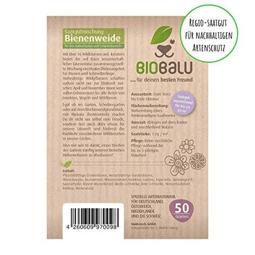 Biobalu Öko Blumenmischung Bienenweide speziell für den Halbschatten- und Schattenbereich + für bis zu 50 qm, mehrjährig und winterhart, viele Wildblumen und -kräuter, 50 g