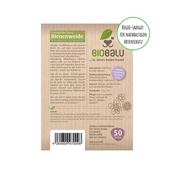 Biobalu Öko Blumenmischung Bienenweide speziell für den Halbschatten- und Schattenbereich + für bis zu 50 qm, mehrjährig… – Bild 4