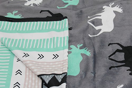 Image of Dear Baby Gear Car Seat Cover for Boys & Girls - Baby Carseat Canopy w /Snap Opening - Infant Seat Cover - Stroller & Nursing Covers - Newborn Carrier Canopy - 40x30 (Mint Moose, Black Grey Aztec)