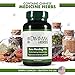Dimmak Herbs Bone Mending Pills- Rapid Fracture & Broken Bone Healing Supplement- Advanced TCM Formula with Drynaria- Stress Fracture & Osteoblast Support- Organic, Vegan- 500mg 100 Capsules