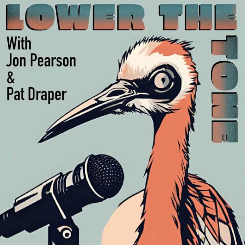 Lower The Tone Podcast Titelbild