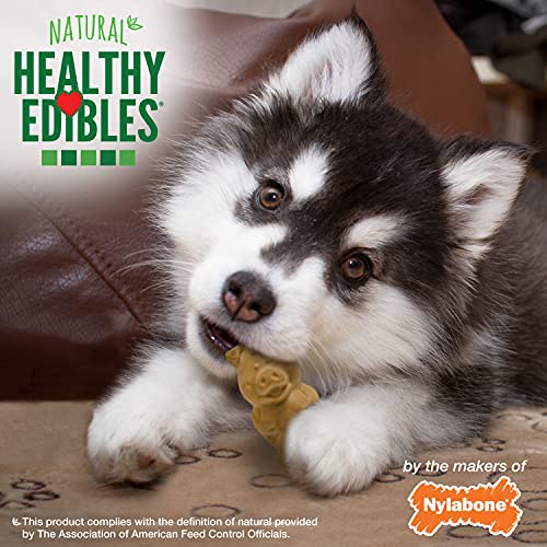 Image of Nylabone Healthy Edibles Puppy Dog Treats, Lamb & Apple Flavor, 12 Count