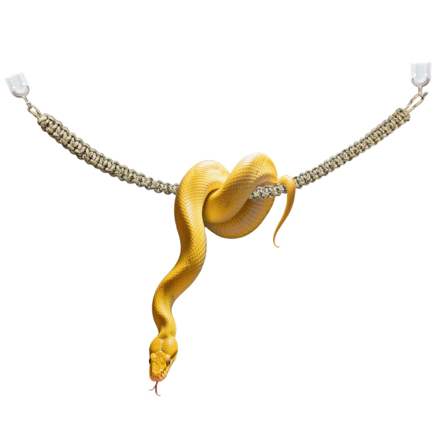 pranovo Snake Climbing Toys - terrarium accessories | Mubboo