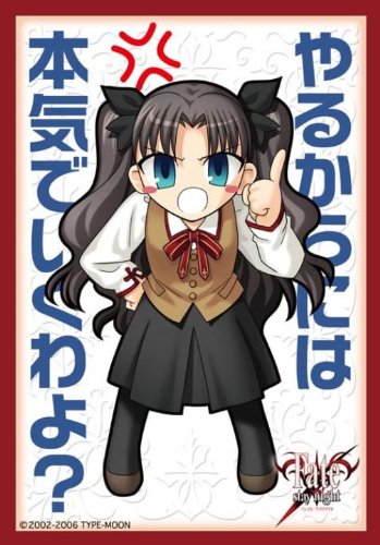 Amazon | キャラクタースリーブコレクション・ミニ Fate/stay night