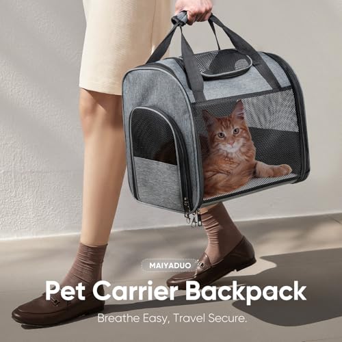 MAIYADUO Katzenrucksack mit Netzfenster - Faltbarer Haustierträger für Katzen & Kleine Hunde (4-8 kg) mit Reißverschluss-Sicherheitsverschluss, Sicherheitsleine, Ideal für Reisen & Spaziergänge