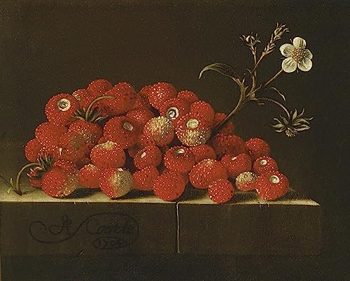 Art Mural Fraises des bois Adrian Coorte : Tableau moderne pour salon contemporain
