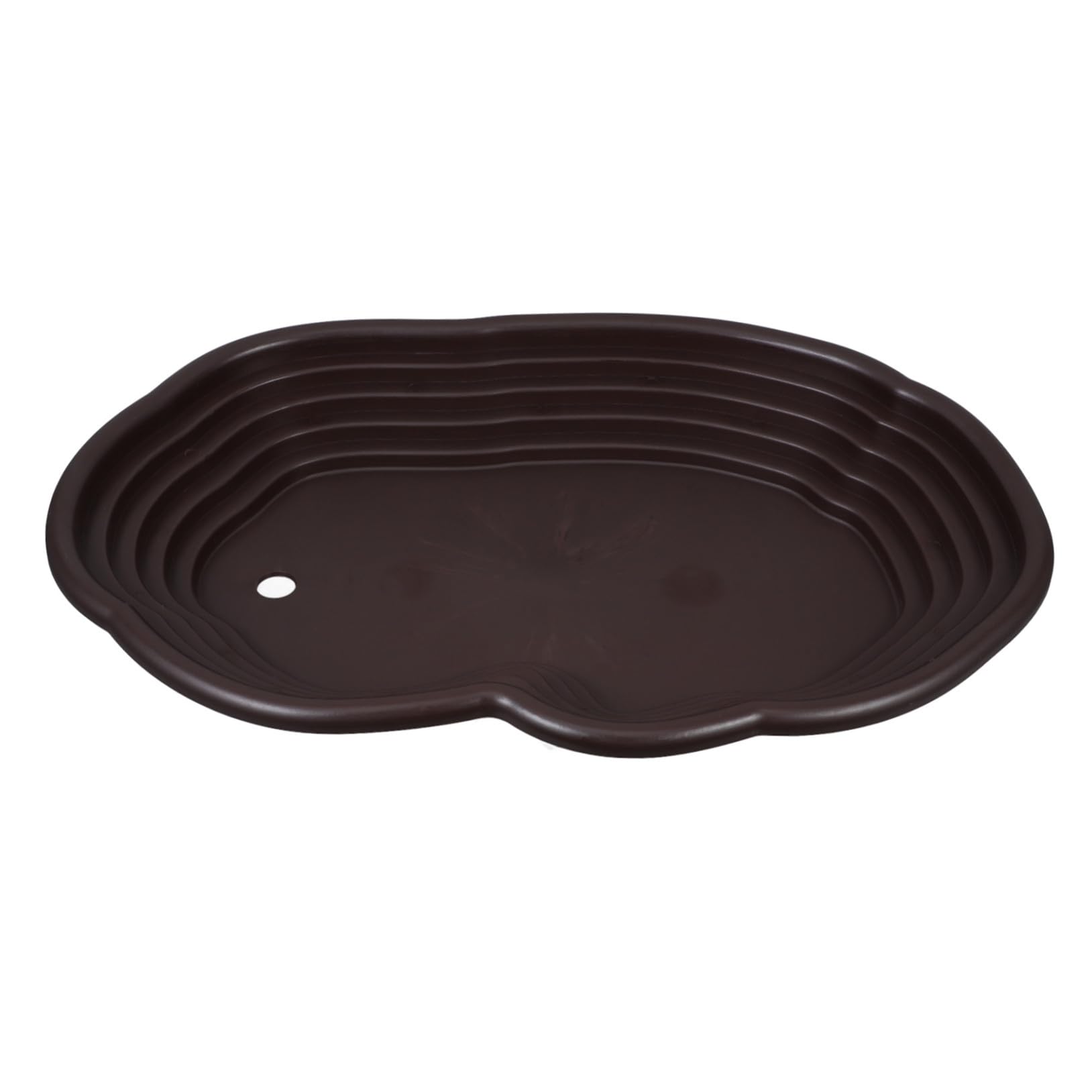 Bassin pour tortue anti-glissade avec rampe d'accès pour reptile