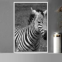 Framed Canvas Wall Art Duotone Zebra Animals Black and White Chic Duotone Expressive Grey Living Room Photography Zebra - 16x24 inches
