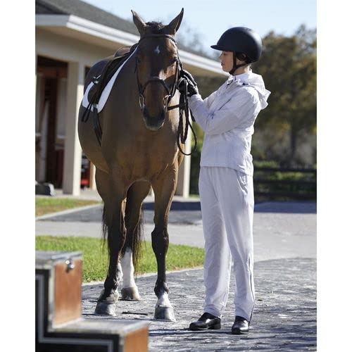 Dover Saddlery Stride Ladies' Hilo H2O Overpant, X-Small, Silver