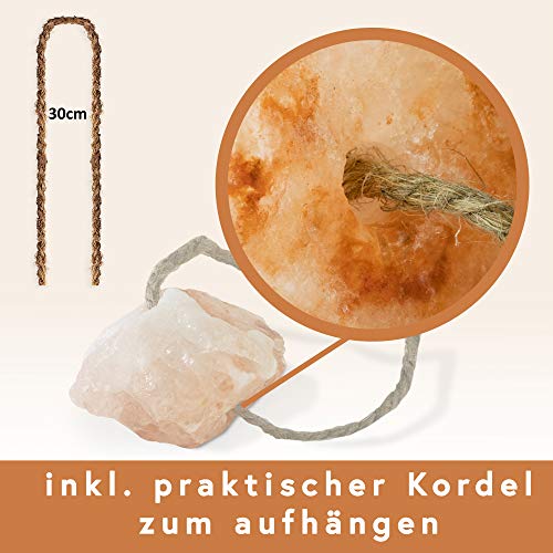 Hochwertiger Salzleckstein “Bergkristall” 8-10 Stück Leckstein mit Kordel, ca. 1 kg, für Kaninchen, Kleintiere, Katzen, Hunde und andere Tiere