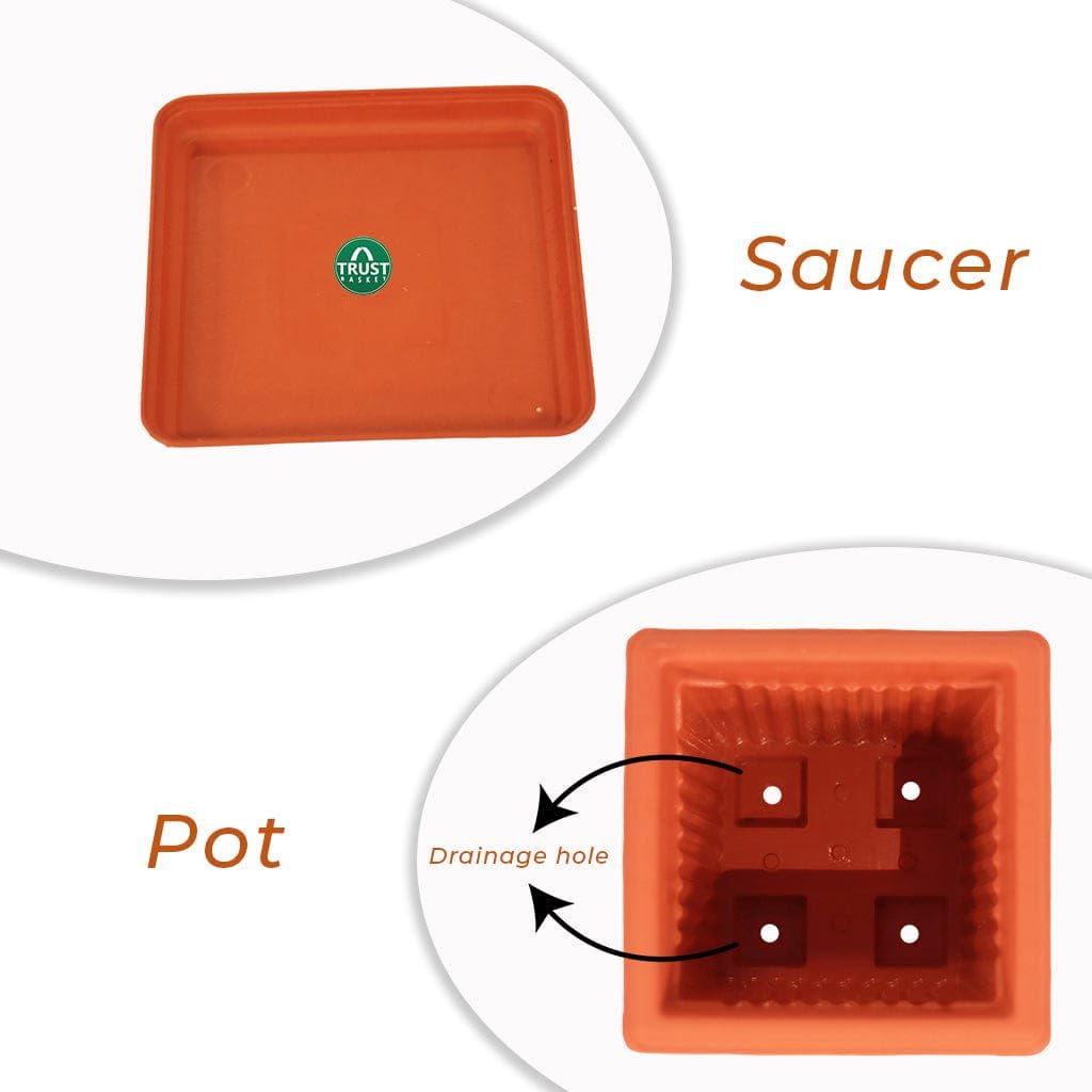TrustBasket 6 inch Square Plastic Planter with Saucer - Set of 3 - Image 3 thumbnail