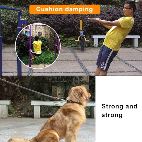 Guinzaglio per cani in pelle, cinturino in pelle con cinturino in corda di sicurezza per cani da compagnia(1.2m)