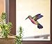 Green Rainbow Hummingbird - Stained Glass Style - See-Through Vinyl Window Decal - Copyright Yadda-Yadda Design Co. (6"w x 5.5"h) (COLOR CHOICES) (MEDIUM, Green Rainbow)