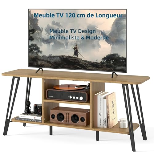 Manora Meuble TV 120 cm de Longueur, Meuble Tele avec 4 Espaces de Rangement Ouverts, Meuble Télé Bois, Structure en Acier Solide,2 Pieds Centraux...