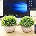 UltraOutlet 2 Pack Small Artificial Plants Centerpiece in Pot Fake Mini Decorative Potted Topiary Shrubs for Office, Home, Inddor, Room Decoration, Green