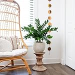 Nearly Natural 28in. Artificial Zamioculcas Plant with Decorative Planter - Image 4