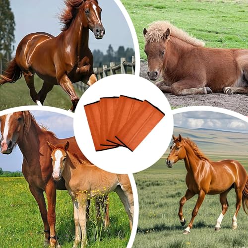 Botas ajustables para transpiración de caballos con bandas protectoras antimoscas 4