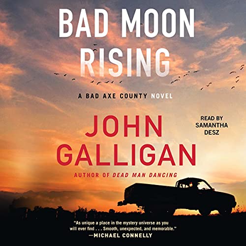 Bad Axe County A Novel (Audible Audio Edition) John Galligan, Samantha Desz, Simon