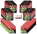 Wrestling WWE The Rock John Cena Party Supplies Bundle Pack for 16 (Plus Party Planning Checklist by Mikes Super Store)