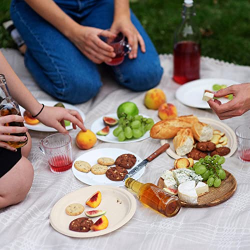 15% Off Vplus 150-Pack Compostable Paper Plates