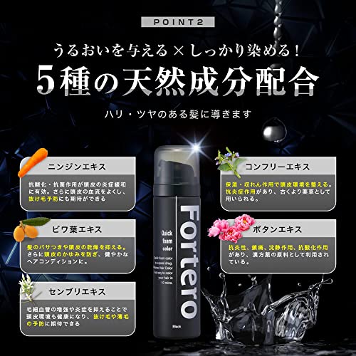 Fortero クイックフォームカラー 白髪染め メンズ ブラック 泡タイプ の商品画像 2
