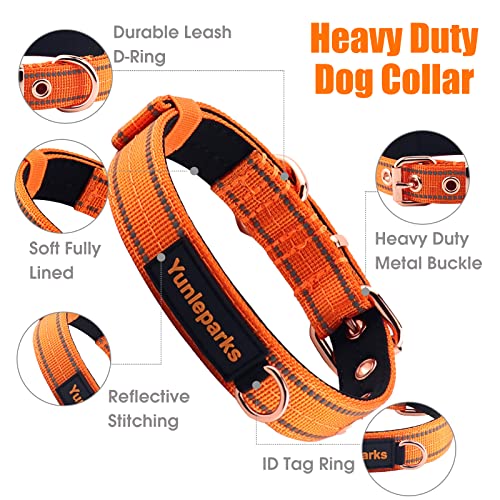 Collares acolchados antitirones para perros grandes y cachorros activos 4