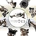 LELEHOKA Catalytic Converter Compatible with Honda Accord 2013-2017 2.4L, Honda CR-V 2015-2019 2.4L, Acura TLX 2015-2020 L4 2.4L Catalytic Convertor 16827, 641565, 18180RDFA00,181905A2A00