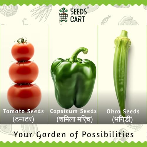 Image of Indian Veggie Combo (Tomato,Chilli, Brinjal, Okra, Capsicum) Planting Seeds | Non-Hybrid, Open Pollinated And Non-GMO | Vegetable Seed For Farming, Home & kitchen Garden (Approx 960)