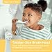 Pure Enrichment PureBaby 2-Pack Replacement Bristle Brush Heads for The Infant-to-Toddler Electric Toothbrush (PEBBYBSH-SG) - Ages 1-3 Years