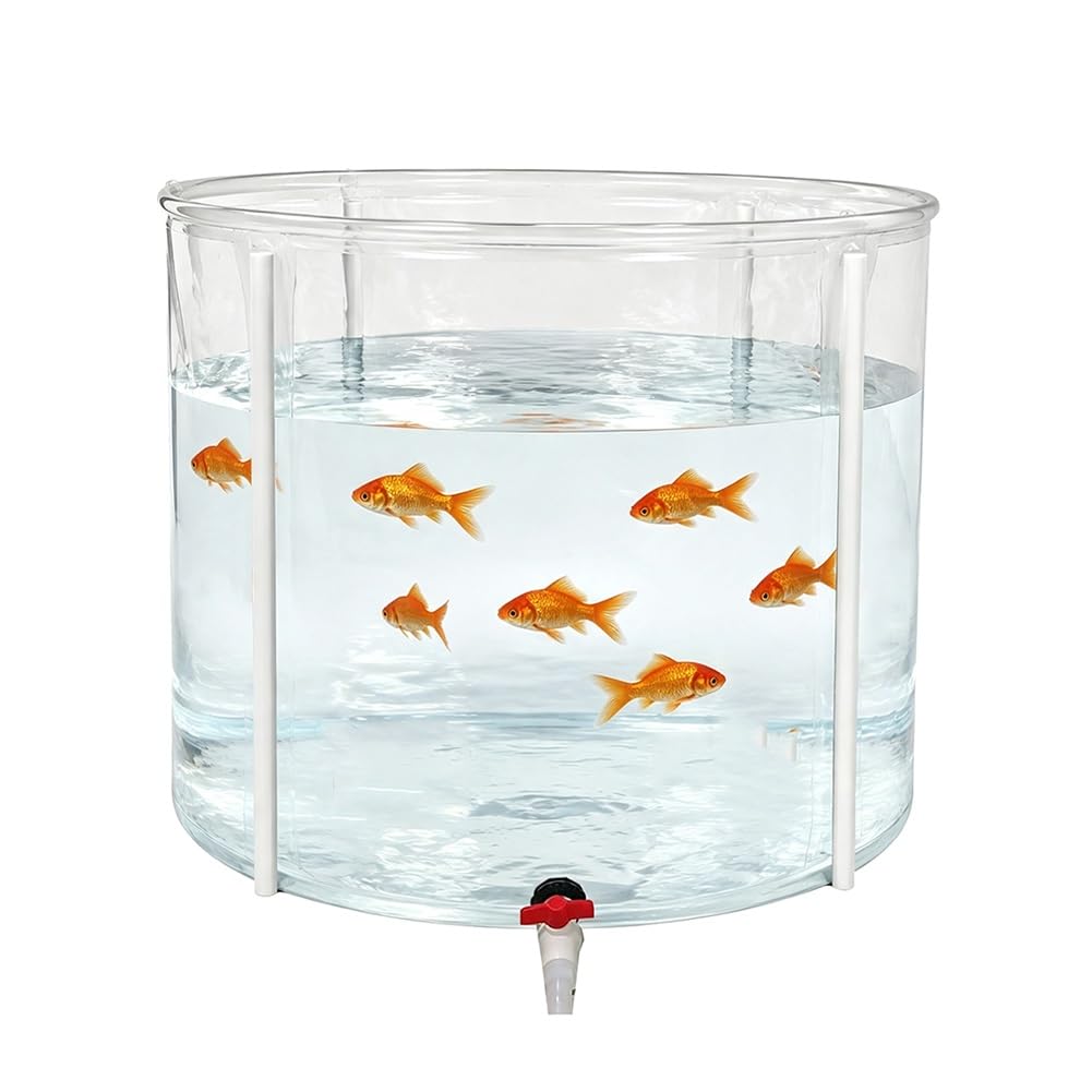 Laghetto Pieghevole Trasparente in PVC per Pesci Koi