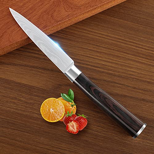 Top 10 Knife For Dicing Tomatoes of 2022 Katynel