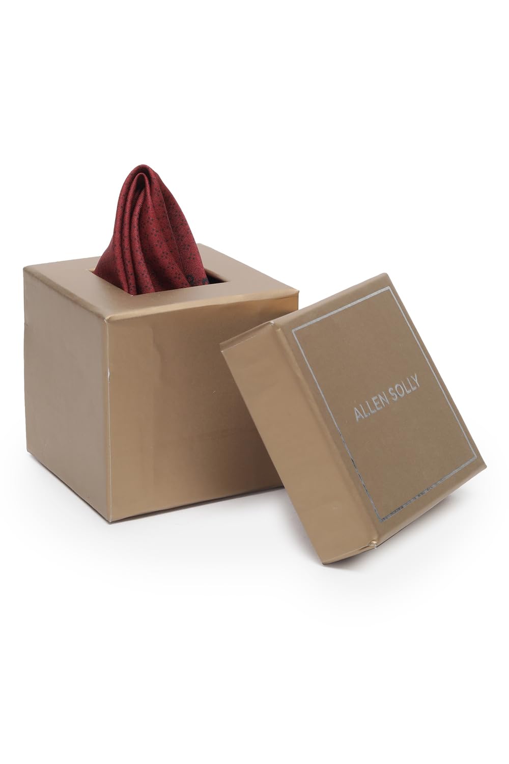 allen solly Men Maroon Casual Pocket Square-picture-31