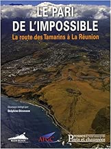 Download Le pari de l'impossible: La route des Tamarins à la Réunion PDF