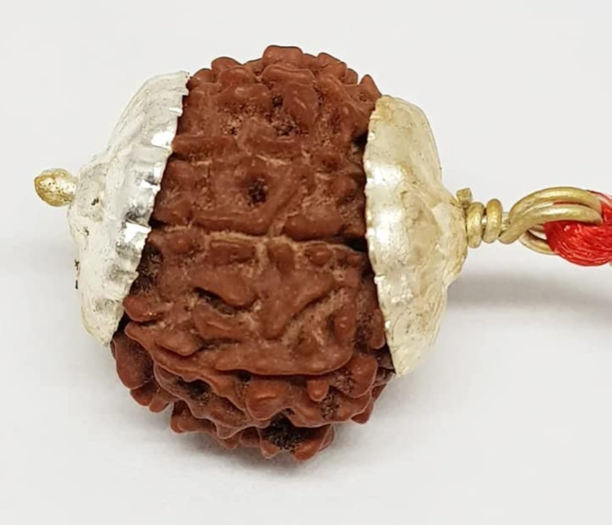 9 Mukhi Rudraksha Original Certified with Silver Capping
