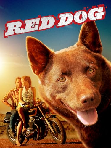 Red Dog DVD Edition