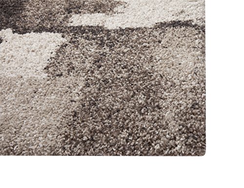 Abacasa Granada Area Rug, 5-Feet 3-Inch By 7-Feet 6-Inch, Chocolate/Ivory/Tan #TOP1