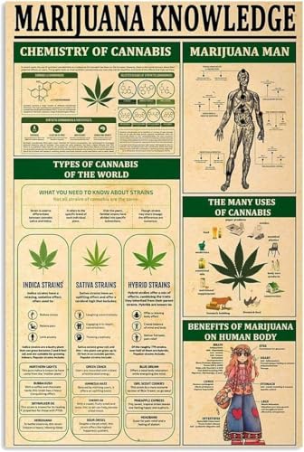 Infografías de cannabis de HLBSDM, carteles de lectura, conocimiento sobre la marihuana, letreros metálicos, guía sobre la química del cannabis, placas, decoración de pared para el hogar, club, cue