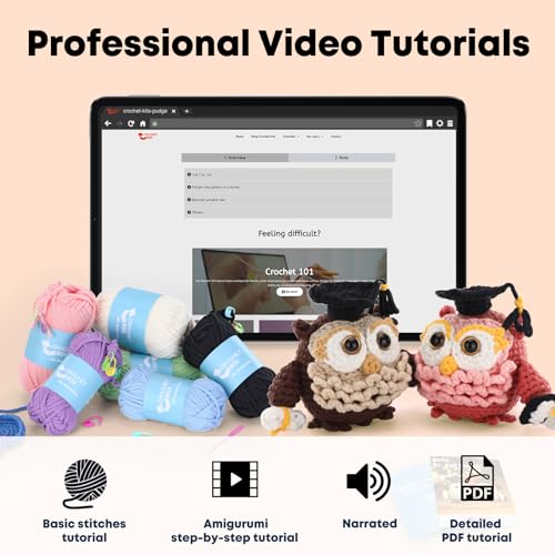 Crochet Kit for Beginners: 2 PCS Owl Starter Crochet Kits with Step-by-Step Video Tutorials and Yarns, Hook, Accessories, Generation DIY Craft Gift for Adults and Kids(30%+ Yarn)
