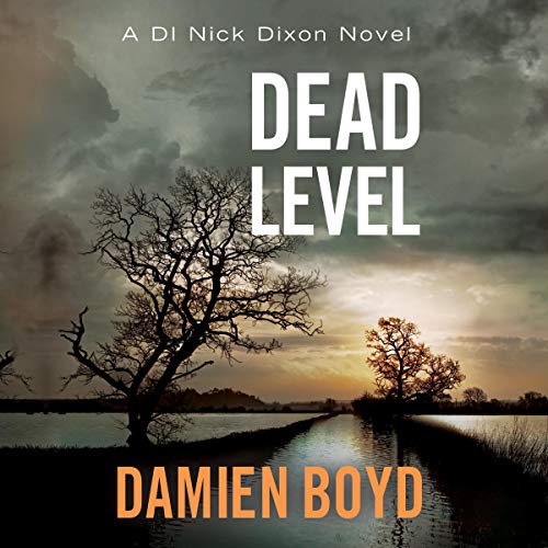 Cover art for Dead Level