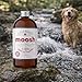 MOOSH All-Natural Dog Shampoo – Gentle for Sensitive Skin. No Sulfates, Preservatives, or Harsh Chemicals. with Bentonite Clay, Argan Oil & Aloe. Hypoallergenic, Biodegradable, 12oz.