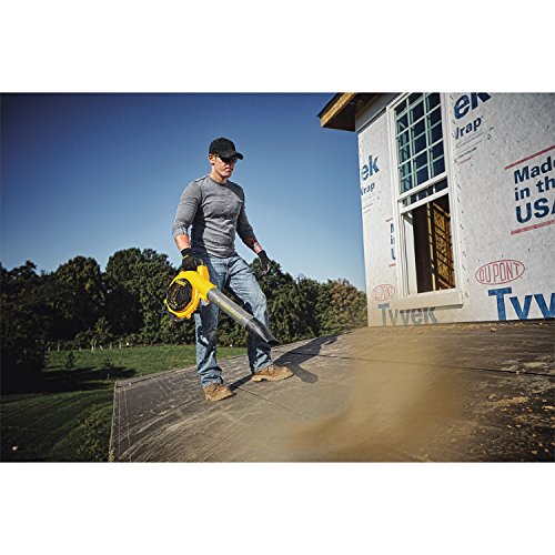 DEWALT FLEXVOLT 60V MAX Blower, Handheld, Tool Only (DCBL770B)
