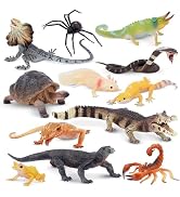 Amazon.co.jp: TOYMANY 12PCS動物フィギュア 野生動物フィギュアセット