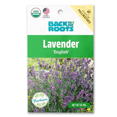 Back to The Roots 100% Organic Seed Packet - Lavender 'English'