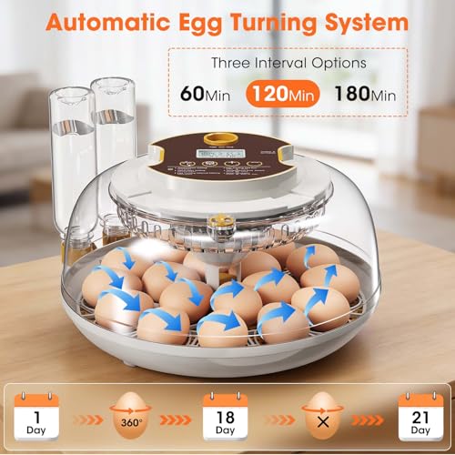 18 Egg Incubator with Automatic Egg Turning & Humidity Control, Built-in Egg Candler, 360° View Window & Dual-Size Trays for Chicken, Duck, Quail, Goose Eggs – Ideal for Farm, Classroom, Home - Thumbnail 4