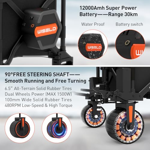 WISELD GT3 with Seat