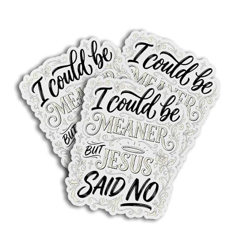 I Could Be Meaner But Jesus Said No Funny Christian Quote Printed Graphic Decal Sticker for Water Bottles laptops Phone case car notebooks Diary Books
