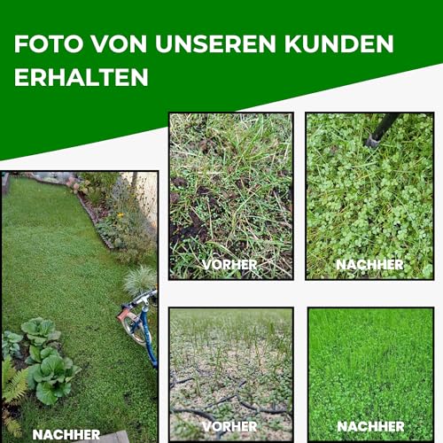 Mantelsaat Mikroklee - Weißklee 500g - Rasenklee bereichert den Rasen - Klee Samen zur Anlockung von Bienen -Saatgut für gleichmäßige, dichte Grasnarbe das ganze Jahr über