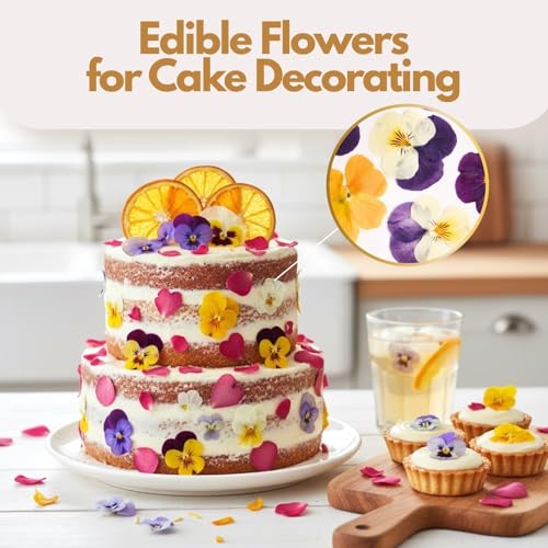 Celblisora 72 Stück Natürlich Getrocknete Gepresste Essbare Blumen,Stiefmütterchen,Herzform Rosenblütenblätter,Getrocknete Orange für Cocktails Kuchendekoration Bastelarbeiten